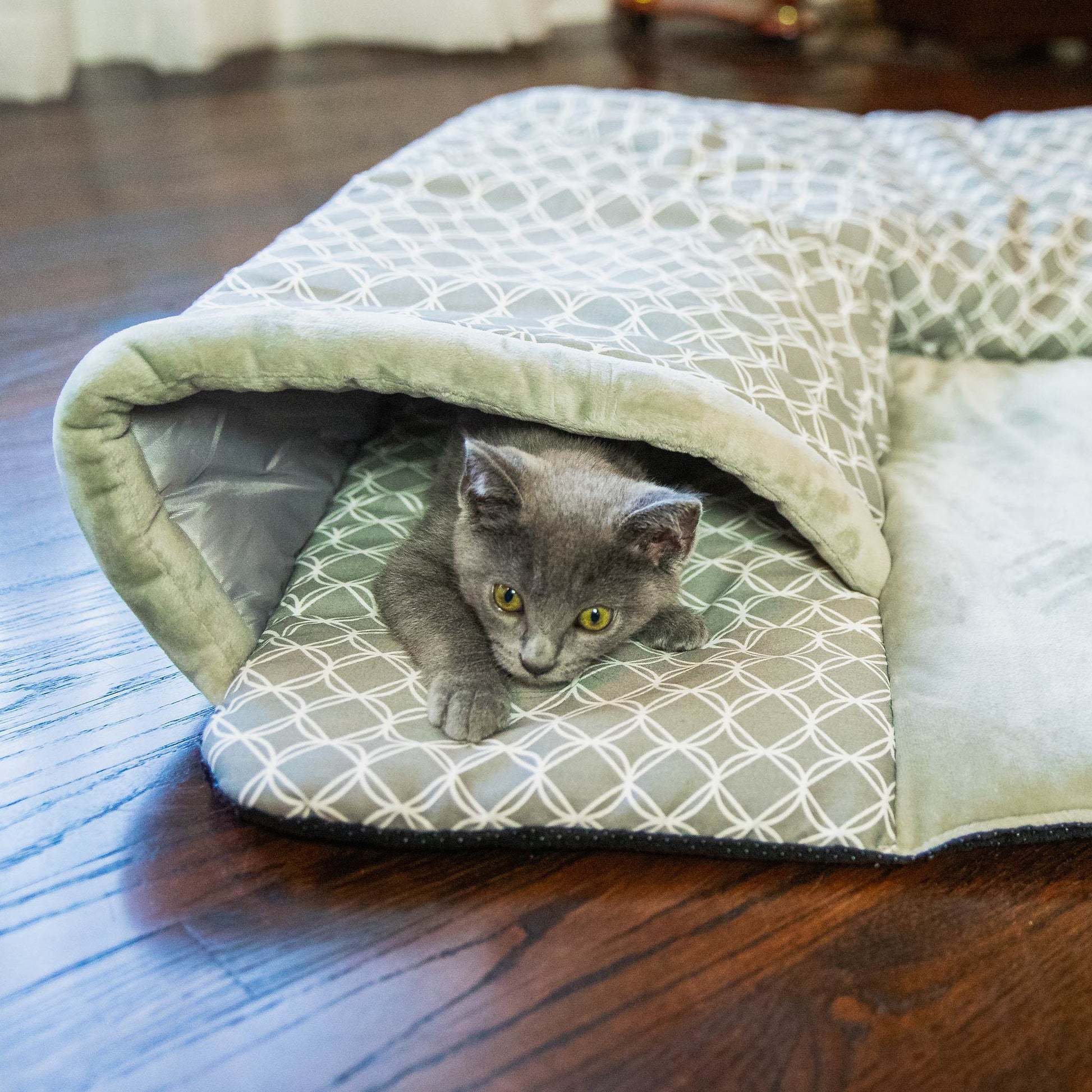 petique hide and seek play mat kitten