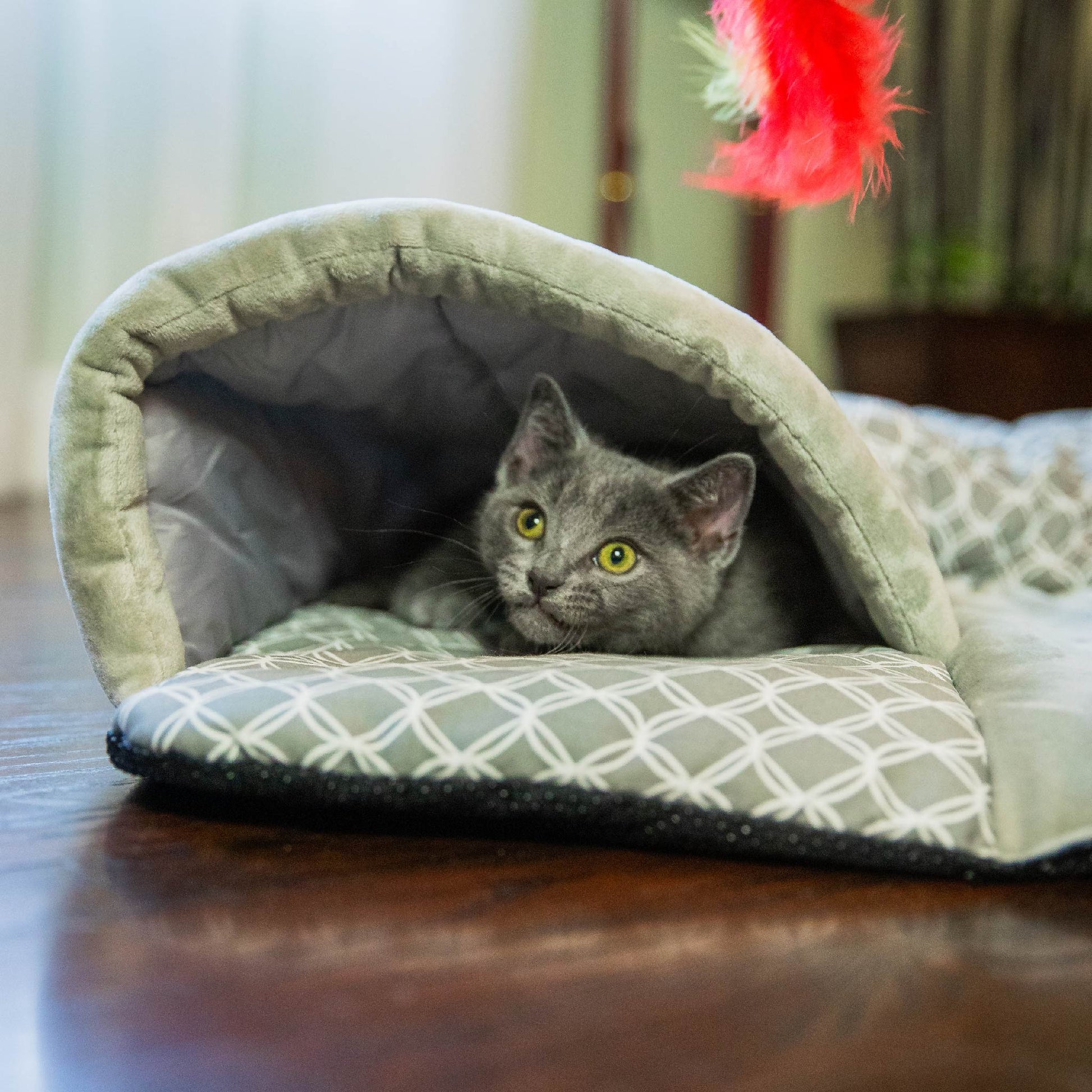 petique cat hide and seek play mat