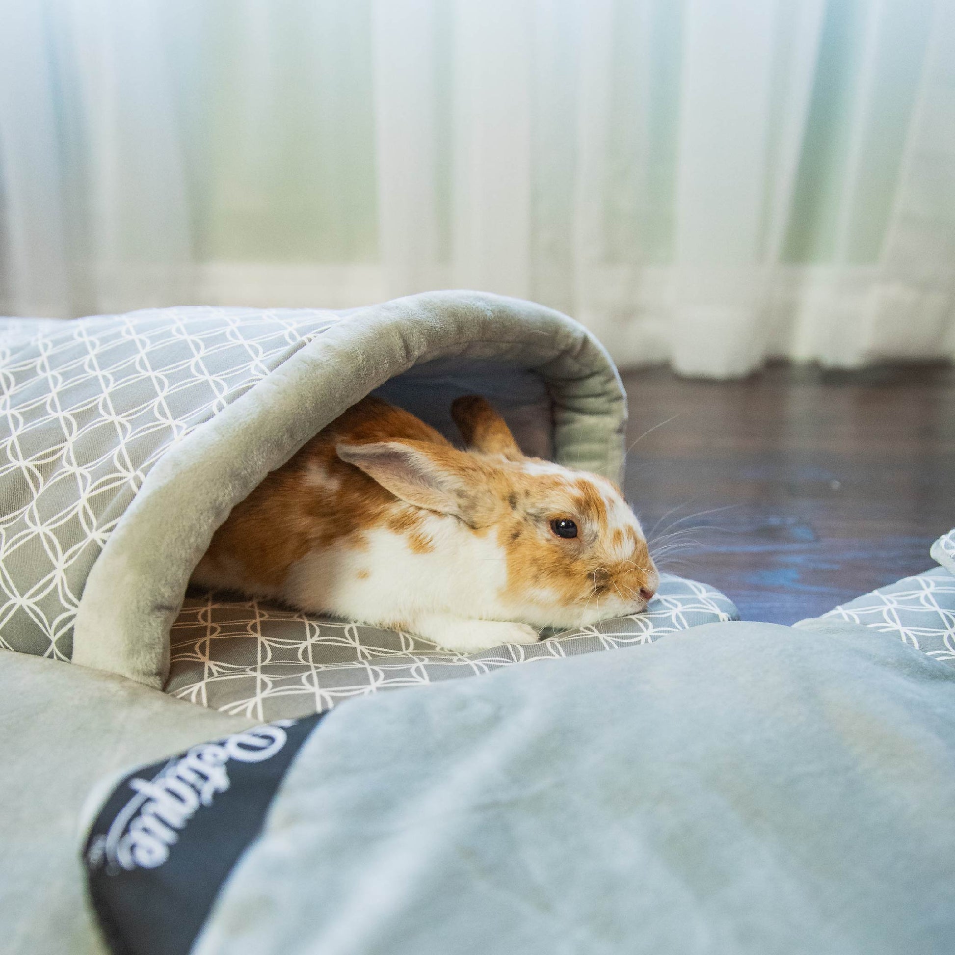 petique bunny resting in hide and seek play mat