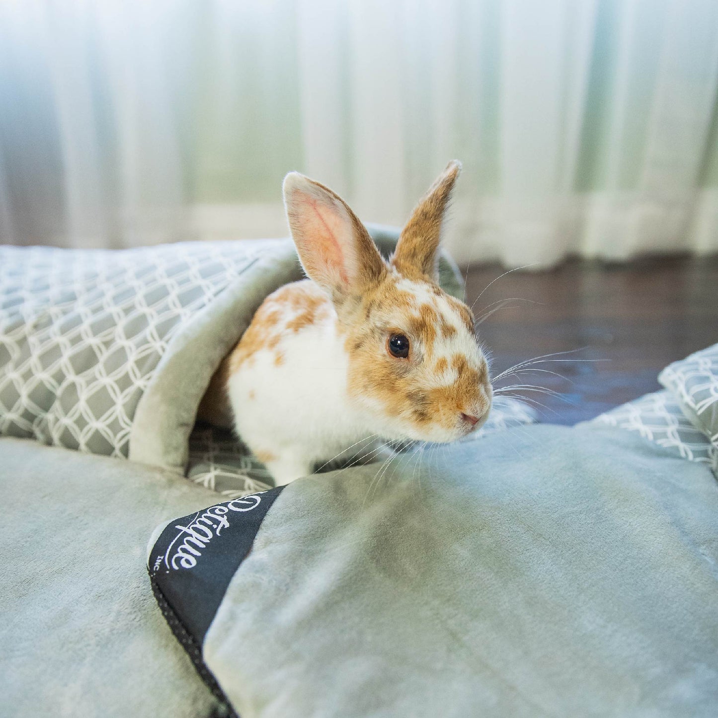 petique bunny play mat
