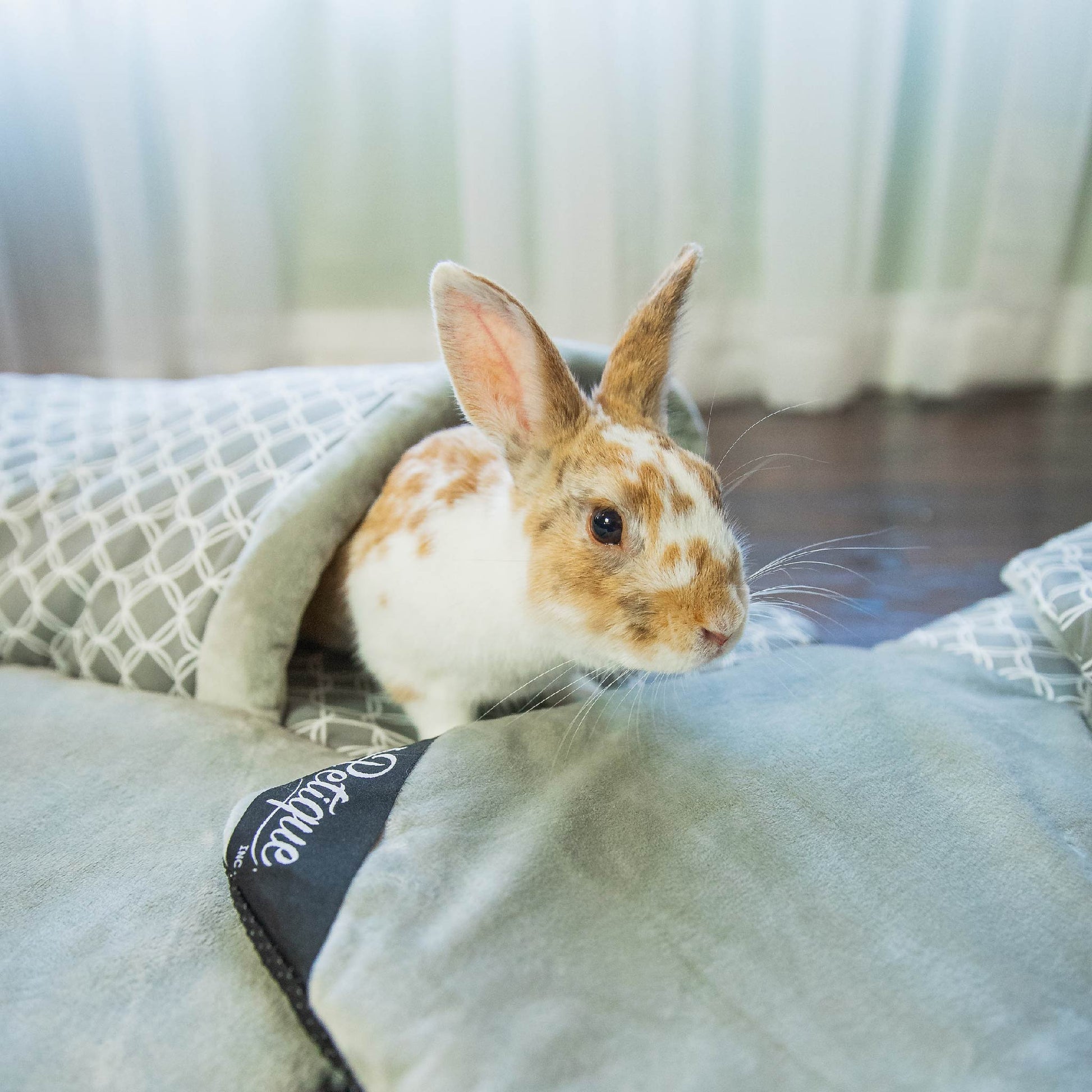 petique bunny play mat