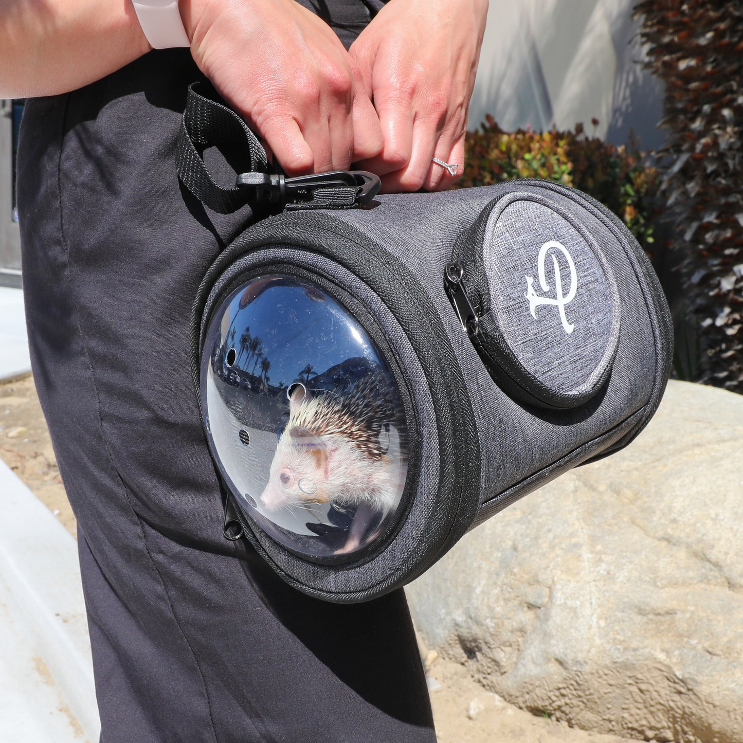 Capsule Pet Carrier: Durable, Scratch & Weather Resistant, Semi-Sphere Windows, 3 Entry Ways, Reversible Mat, 2 Carrying Options, Water Bottle Feeder Included, for Small Animals, Supports 5 LBS