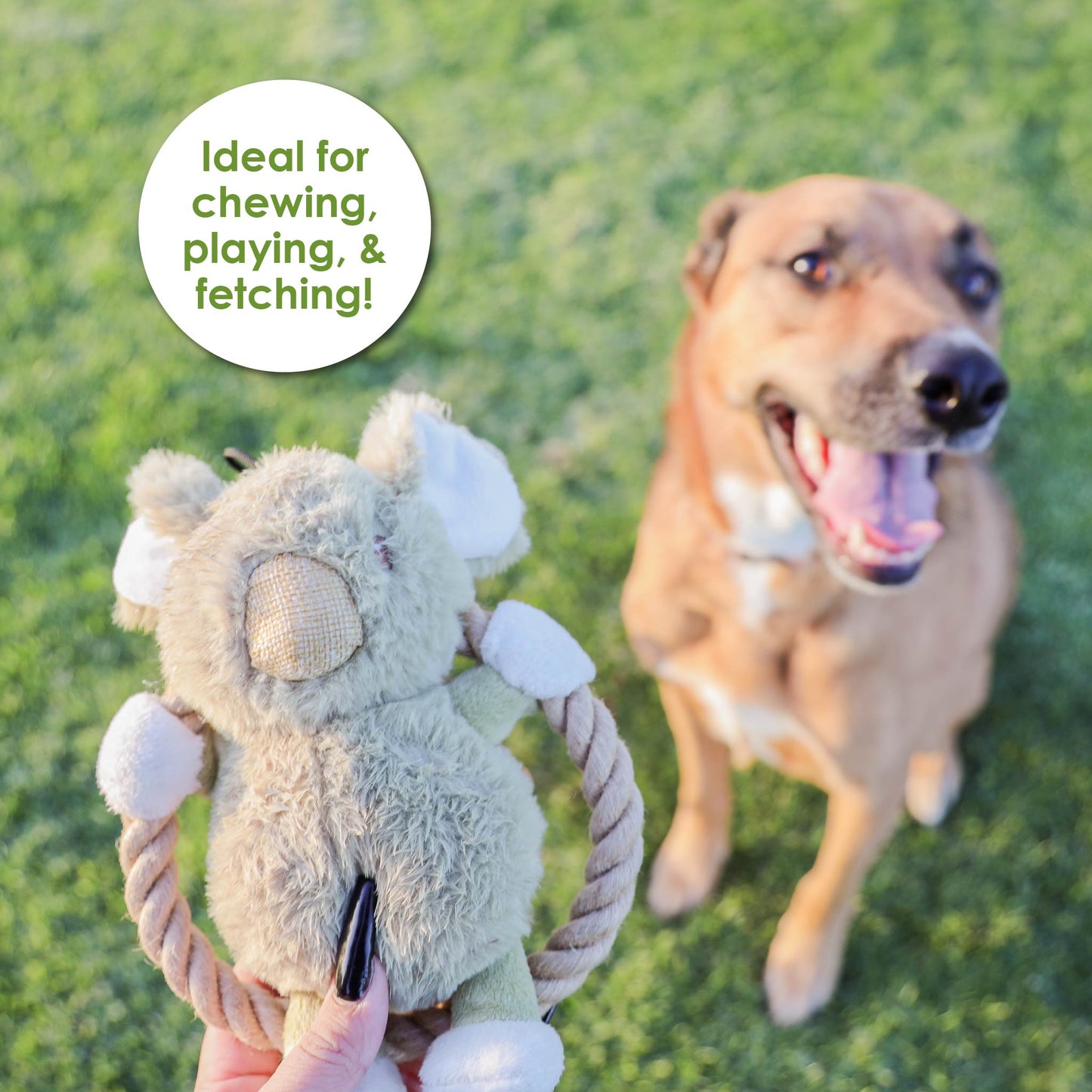 Hula Hemp Rope Koala Dog Toy: Fun Squeaker in Head, Stimulates Pets Mentally & Physically, Tough Hemp Rope for Holding, Fetching, & Tug of War, Non-Toxic, Cleans Teeth, Variety of Textures, for Pets