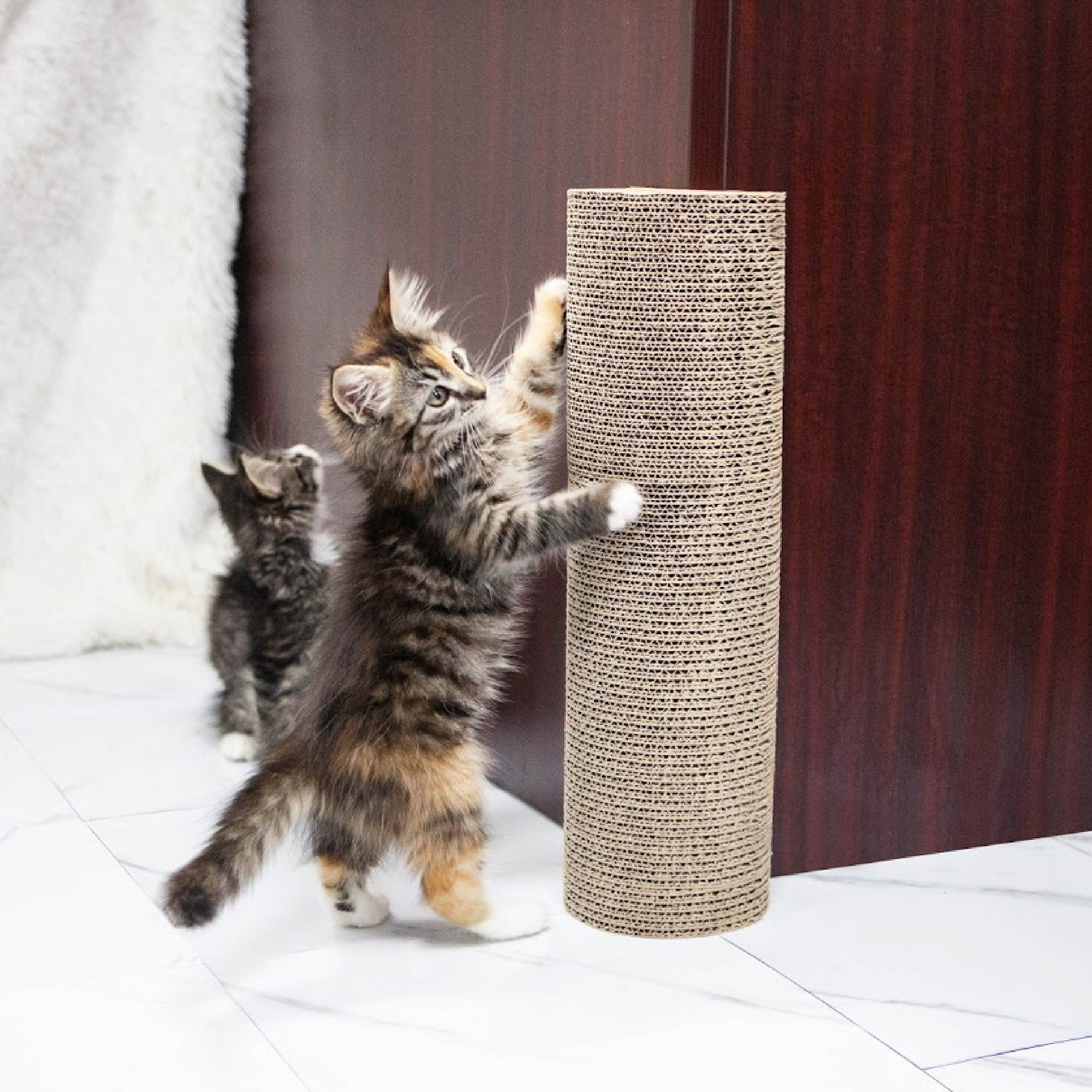 Corner scratching post 2025