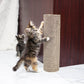 Kitty Corner Cat Scratching Post (2 Pieces): Eco-Friendly, Sustainable, Compostable, Non-Toxic, Double Stick Foam Tape Included, Durable Cardboard, Patented, for Cats