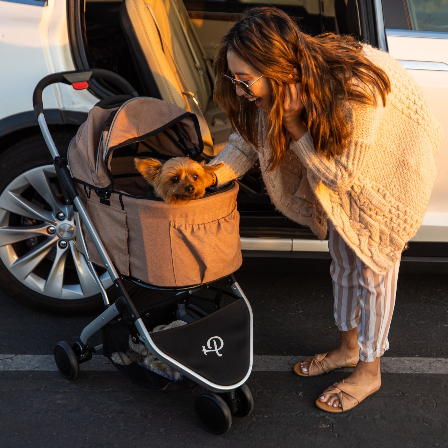 3-in-1 Pet Travel Bundle