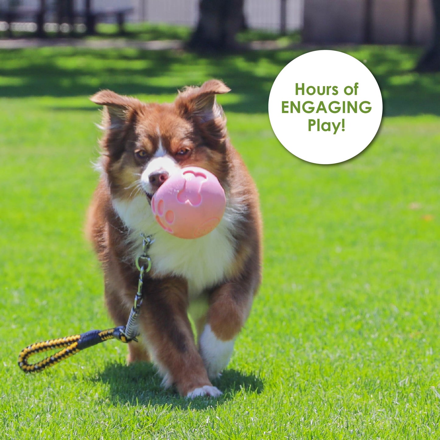 Pink Paw Me! Treat Ball Dispenser and Dog Toy: Engaging Design, Squishy Texture, Easy Rolling, Interactive Play, Keeps Pets Busy, Vanilla Scent, BPA-Free, FDA Approved for Dogs/Cats/Pets