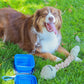 The Traveler Pet Carrier Bundle