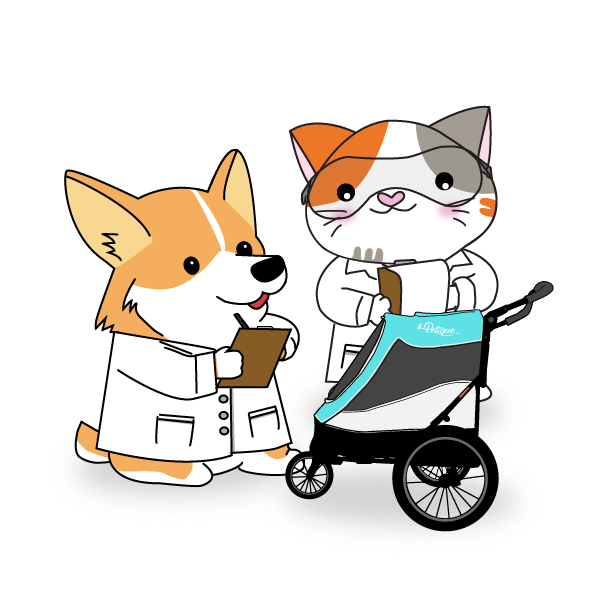 petique product corgi cat