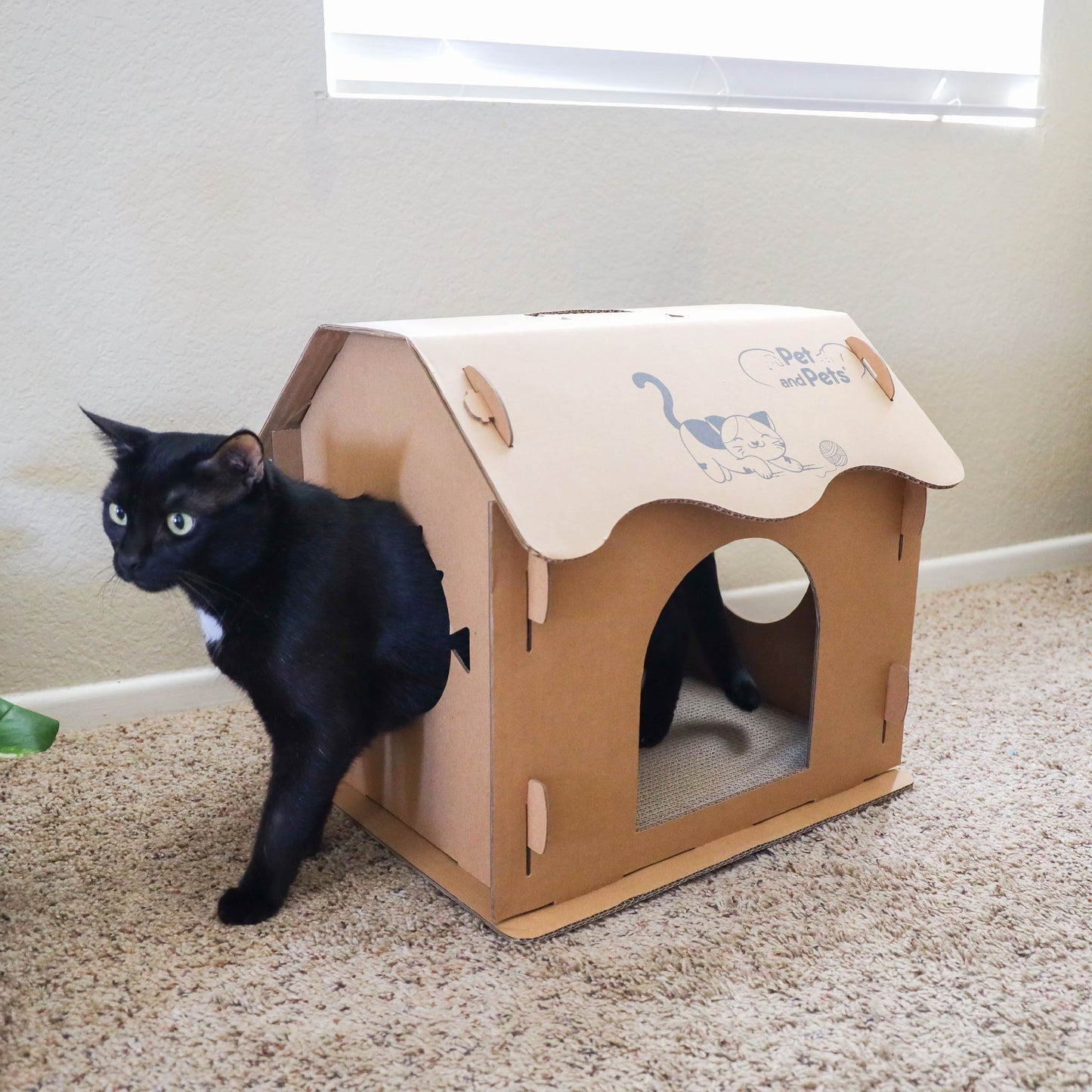Scratch Pad Cat House: Large Double-Sided Scratch board, 100% Non-Toxic, Eco-Friendly, Sturdy, Easy to Build, Lightweight, Durable Cardboard, No Formaldehyde, Sustainable, Compostable, Recyclable, for Cats, Bunnies, Small Animals