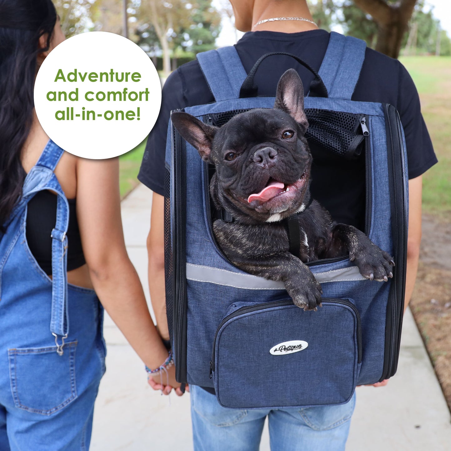 The Backpacker Pet Carrier for Small Dogs/Cats/Pets, Storage Pocket, Luggage Handle Slit, Leash Inside, Adjustable Straps, Reversible Mat, 3 Entryways, Folds Flat, Reflective Strip