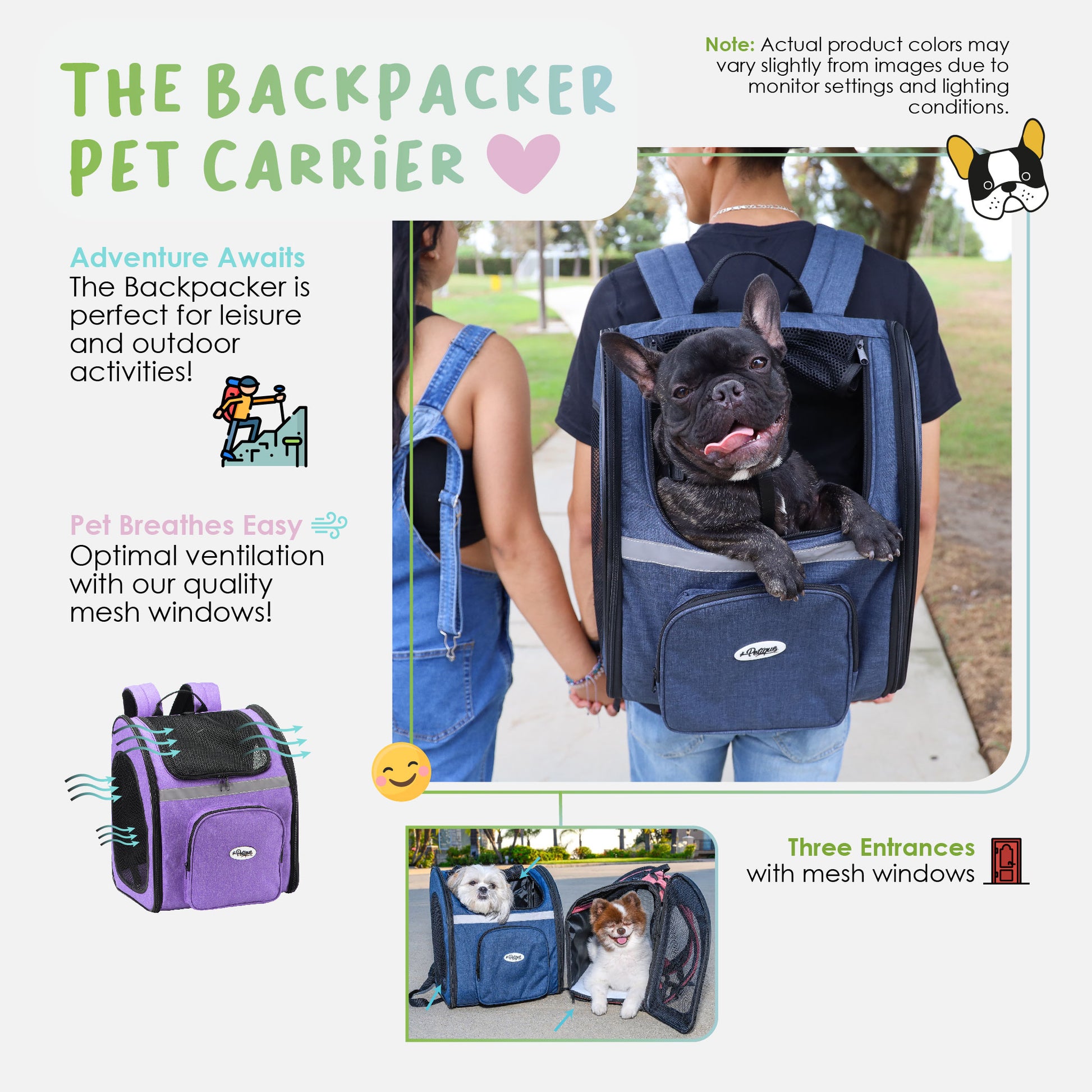 the backpacker pet carrier
