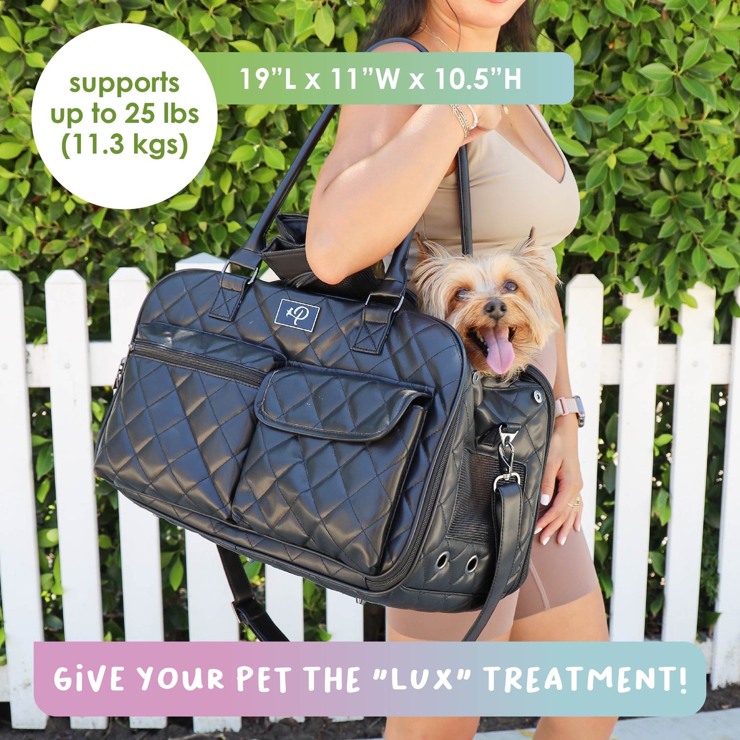 supports pets up to 25 LBS