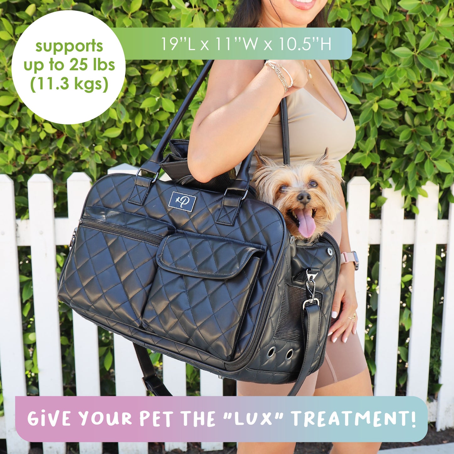 The Lux Pet Carrier + Chunky Monkey Dog Toy Bundle