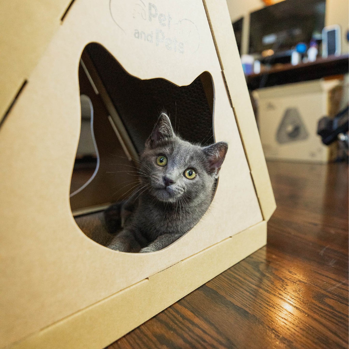 Tippy Peak Eco Pet House: 3 Double-Sided Scratch Boards, 100% Eco-Friendly, Non-Toxic, Sturdy, Easy to Build, Sustainable, Safe if Ingested, No Formaldehyde, Biodegradable, Compostable, for Cats, Bunnies & Small Animals