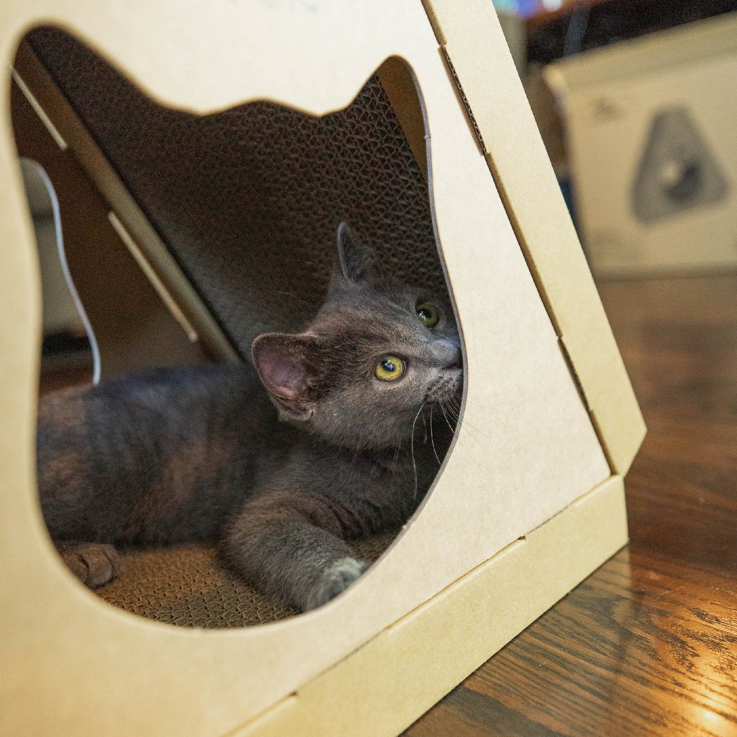 Tippy Peak Eco Pet House: 3 Double-Sided Scratch Boards, 100% Eco-Friendly, Non-Toxic, Sturdy, Easy to Build, Sustainable, Safe if Ingested, No Formaldehyde, Biodegradable, Compostable, for Cats, Bunnies & Small Animals