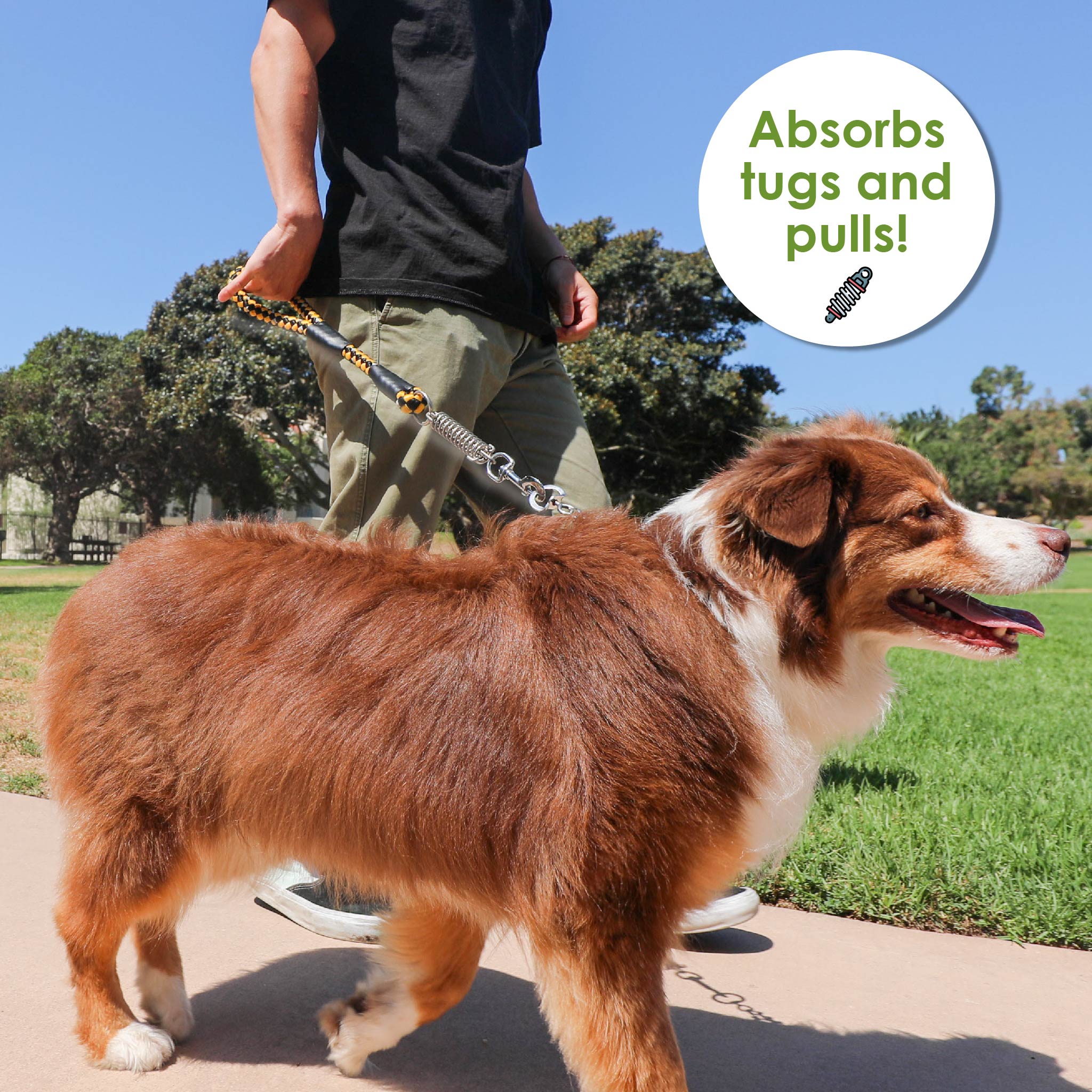 Tug Control Dog Leash Reflective Shock Absorber Comfortable Grip Sleek Design Strong Weave Accent for Small Medium Large Dogs Cats Pets