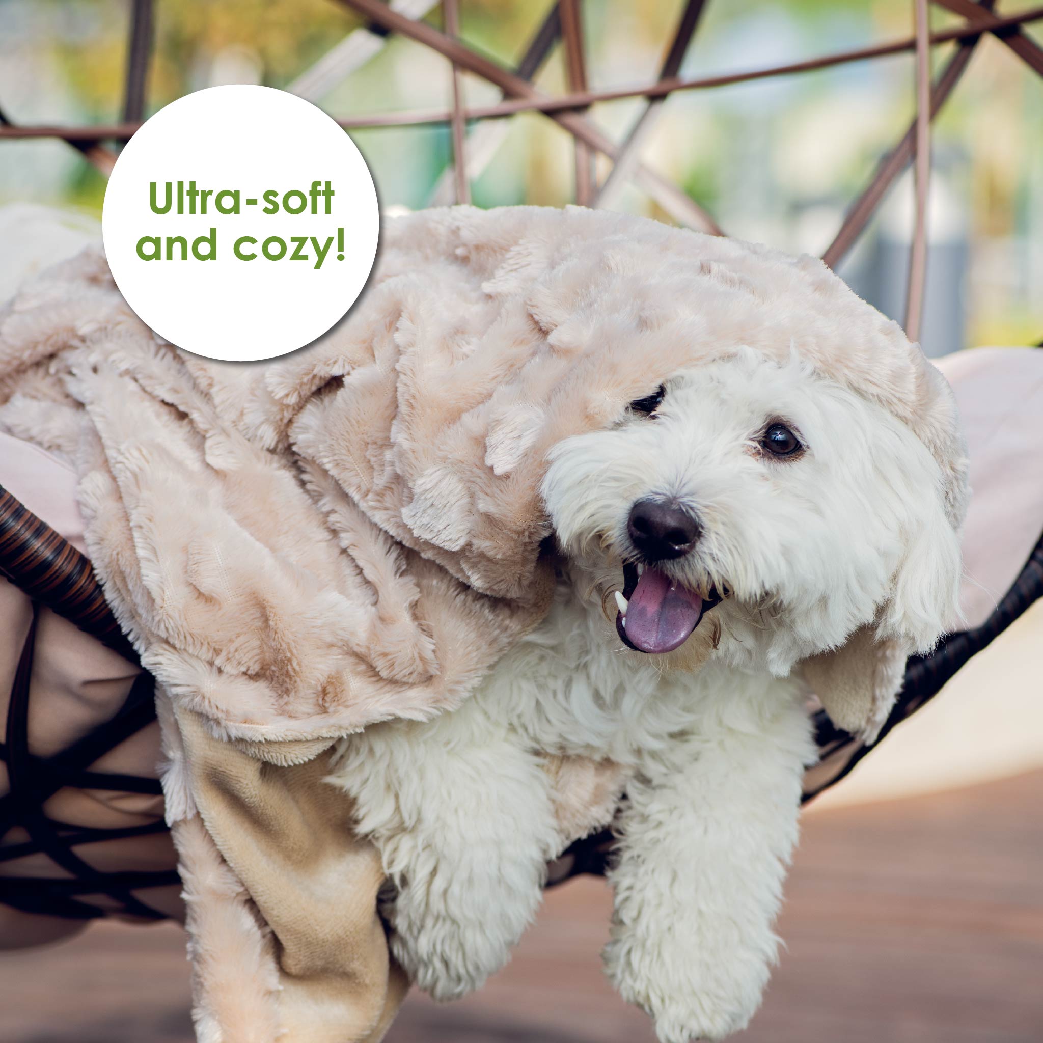 Pet blankets sales