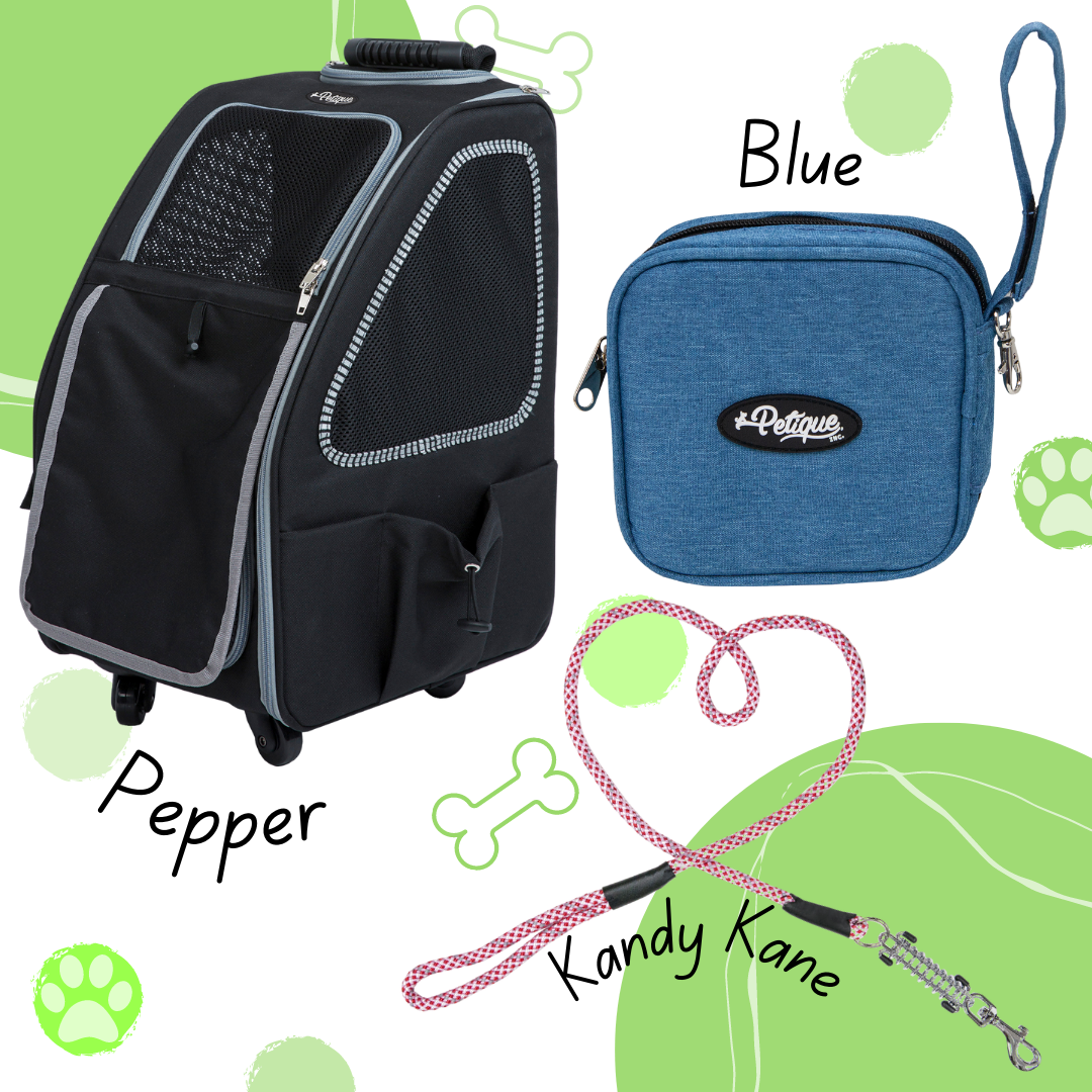 5-in-1 Travel Bundle - 5-in-1 Pet Carrier and MORE!