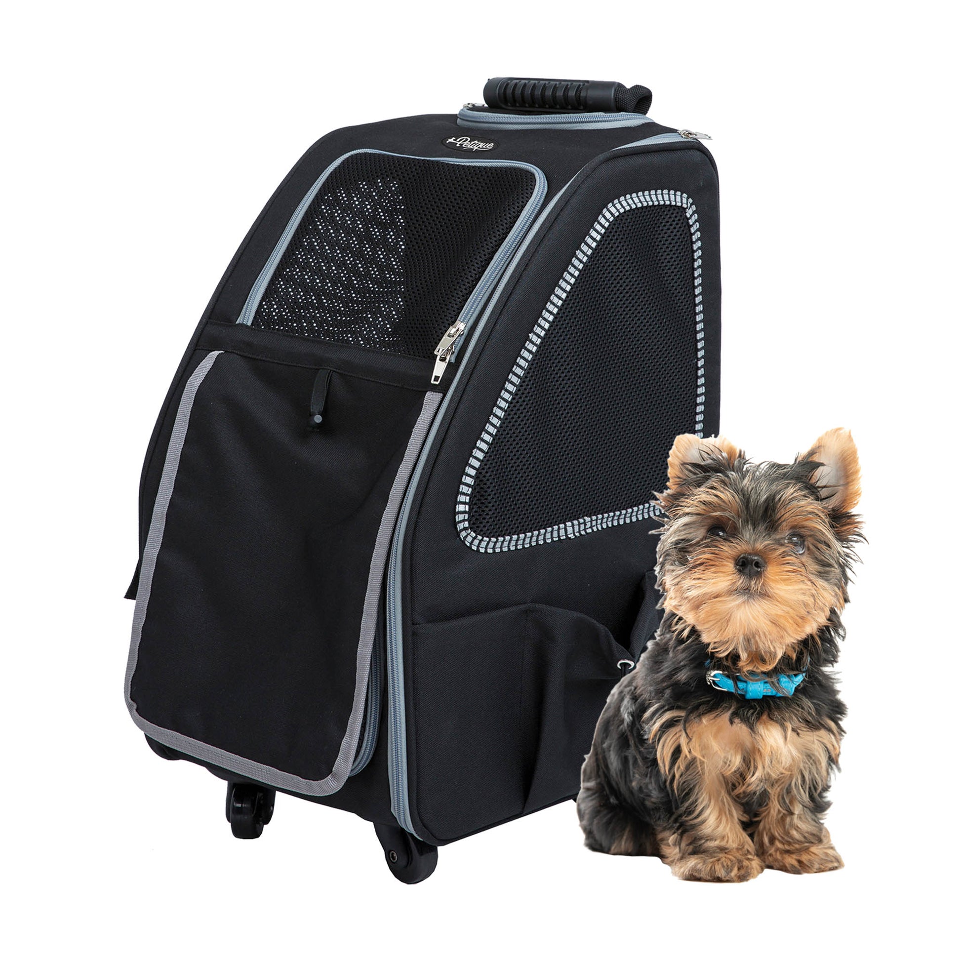 5-in-1 black pepper pet carrier for small dogs