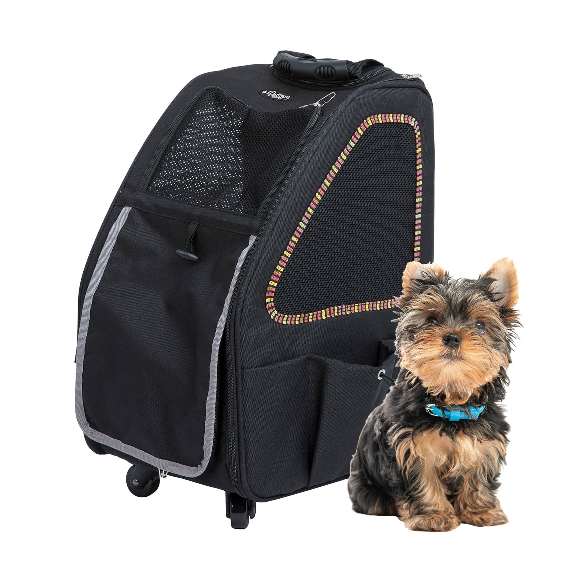5-in-1 pet carrier for small dogs and cats