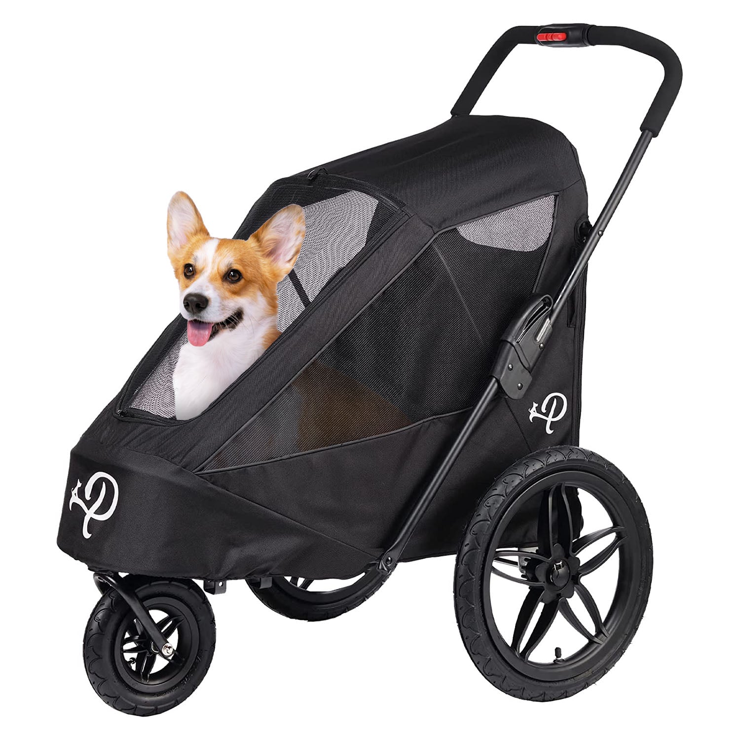 black pet jogger
