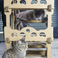 sturdy cardboard cat house