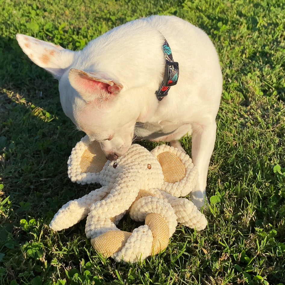 SOLD OUT - Mini Hemp Twist Monkey and Elephant Dog Toys