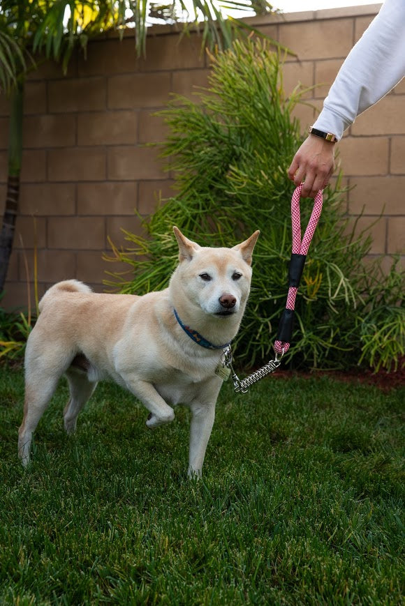 Extra Large Pink Leash