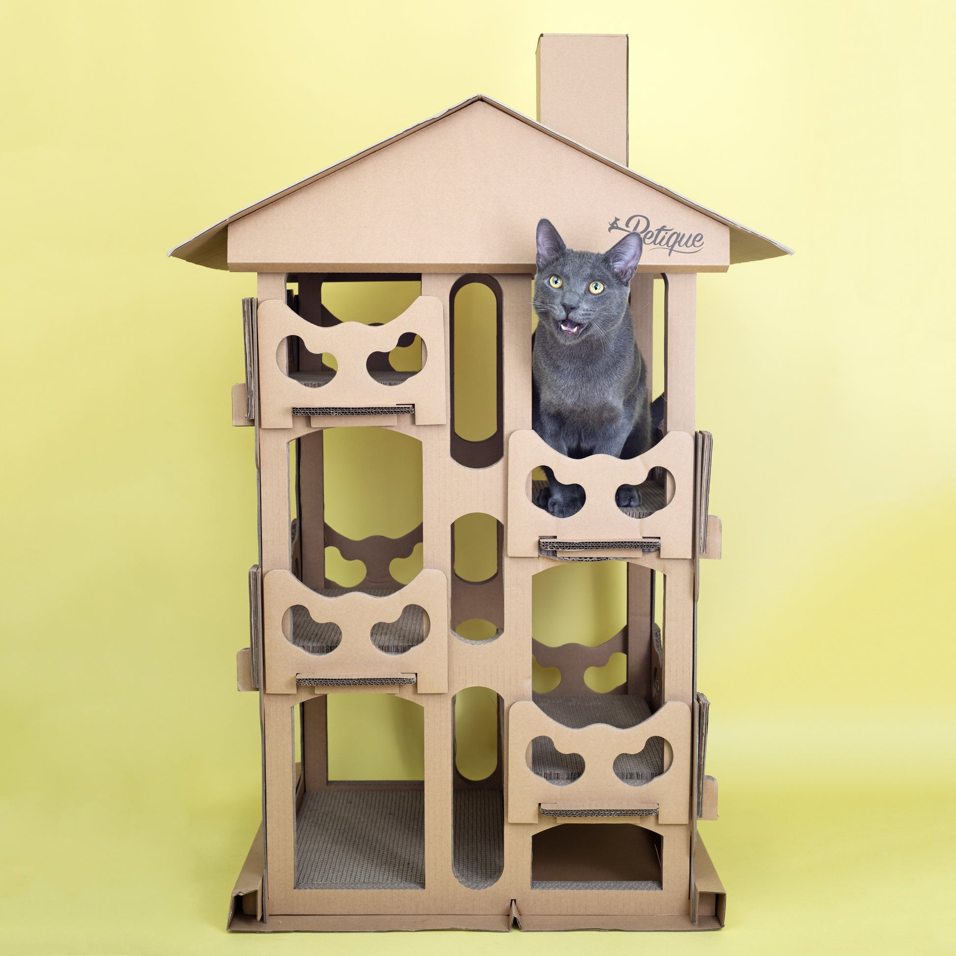 cat house for multiple cats