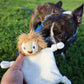 Mini Flying Hemp Monkey and Lion Dog Toys