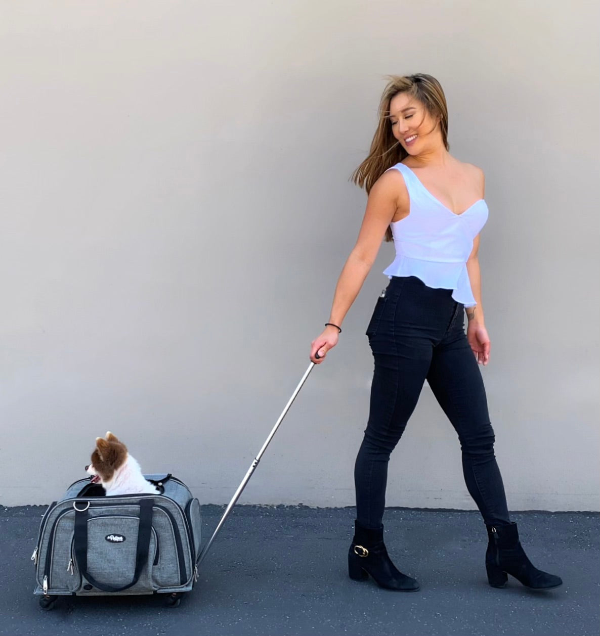 Happiest Camper Bundle - Happy Camper Pet Carrier and MORE!