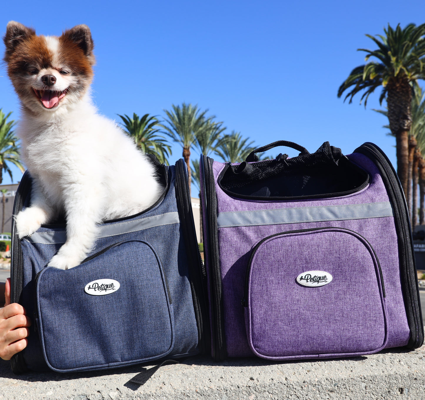 The Backpacker Pet Carrier for Small Dogs/Cats/Pets, Storage Pocket, Luggage Handle Slit, Leash Inside, Adjustable Straps, Reversible Mat, 3 Entryways, Folds Flat, Reflective Strip