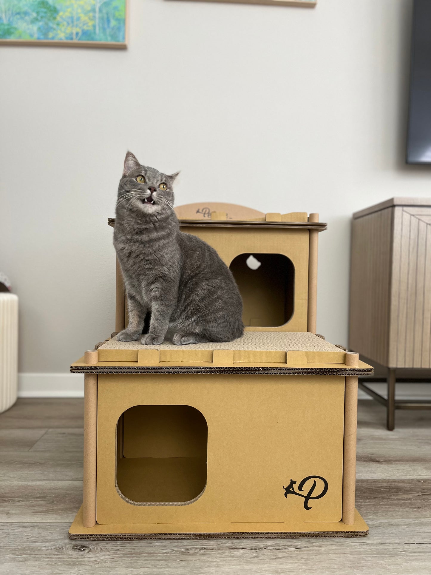 Cat happy on Feline Villa Cat hOuse