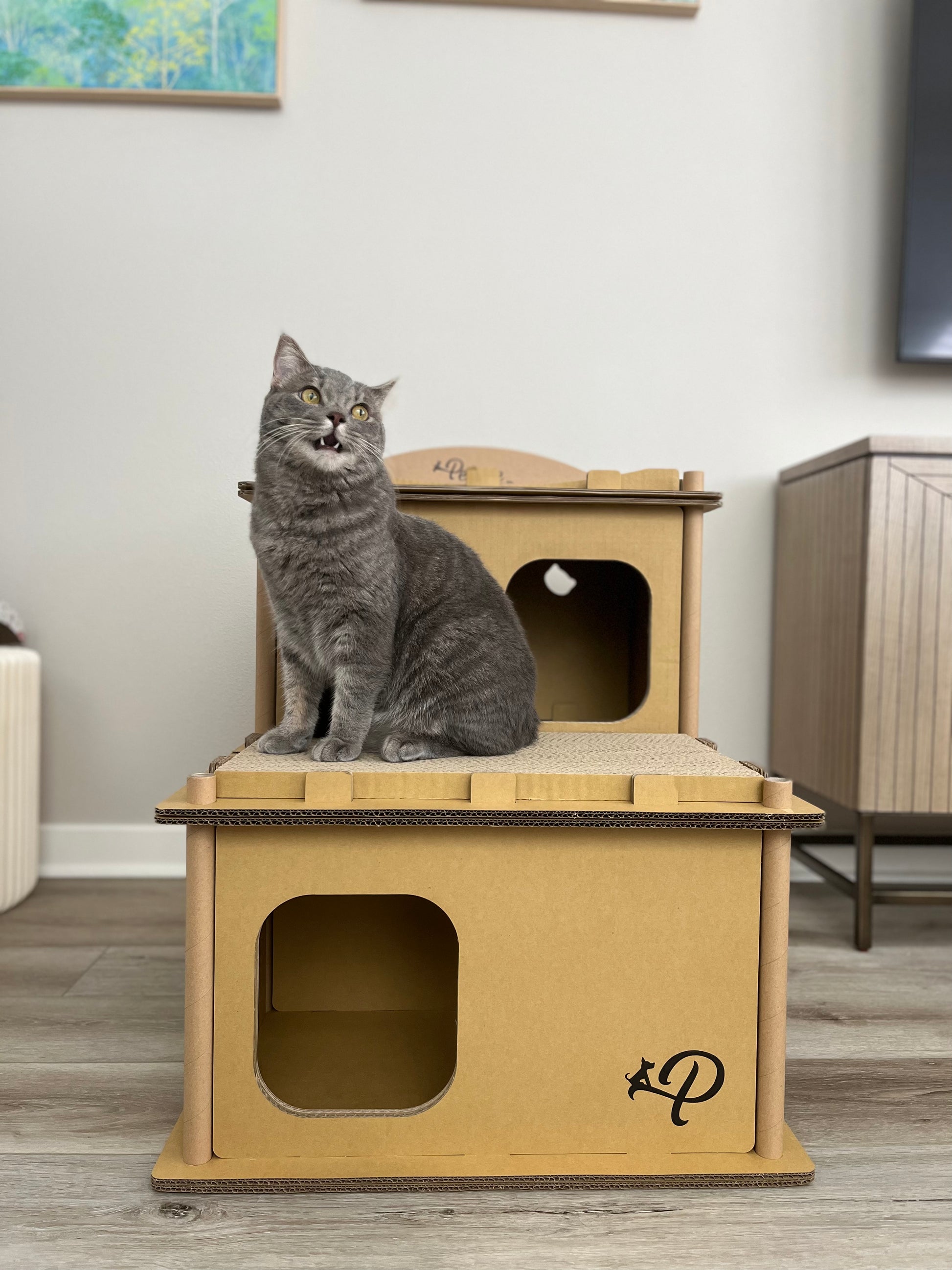 Cat happy on Feline Villa Cat hOuse