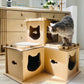 cat scratch house fortress