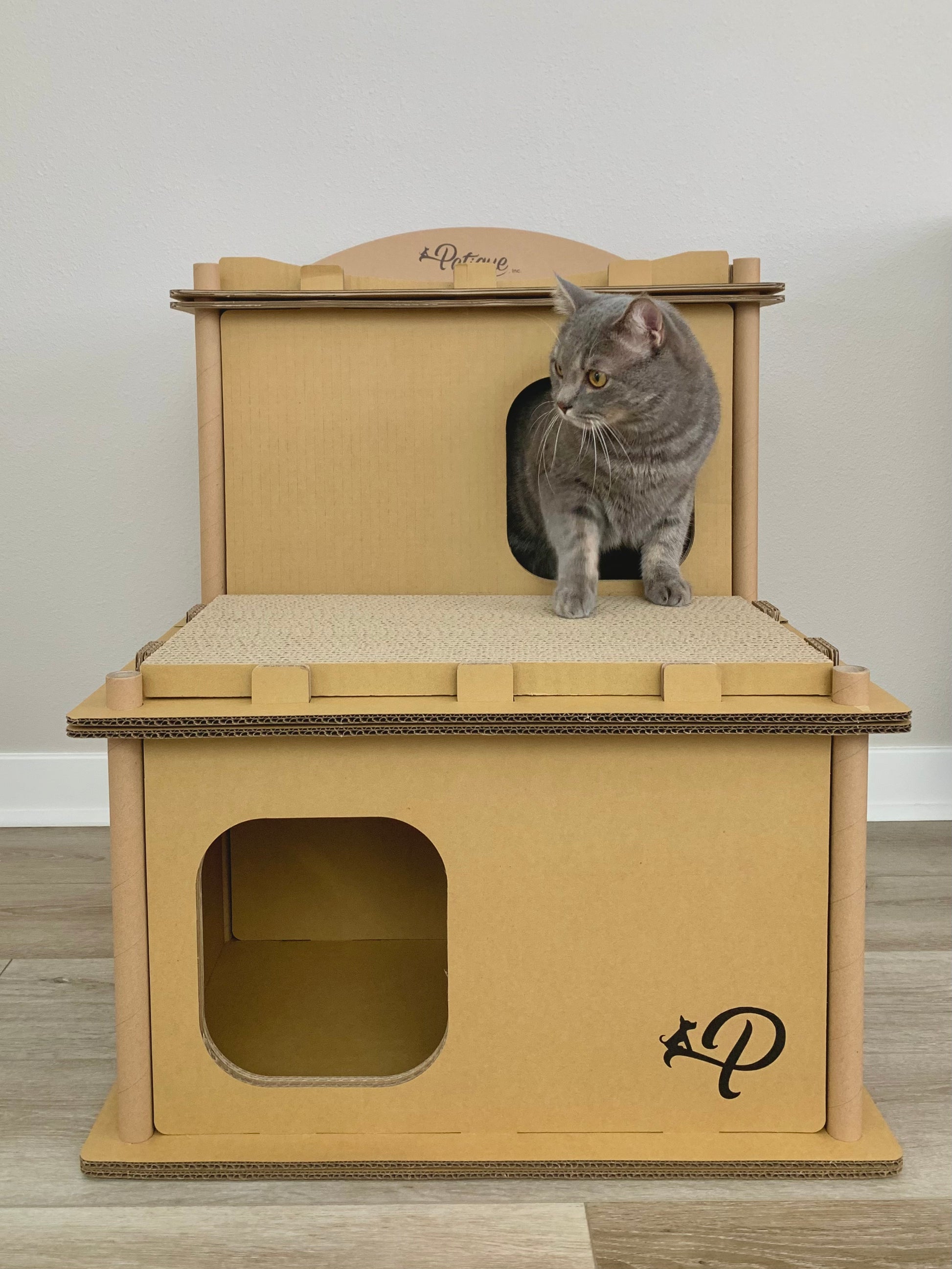 cat feline villa second floor