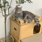 cat relaxing in Feline Villa