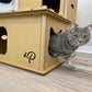 Cat coming out of Feline Villa Cat HOuse
