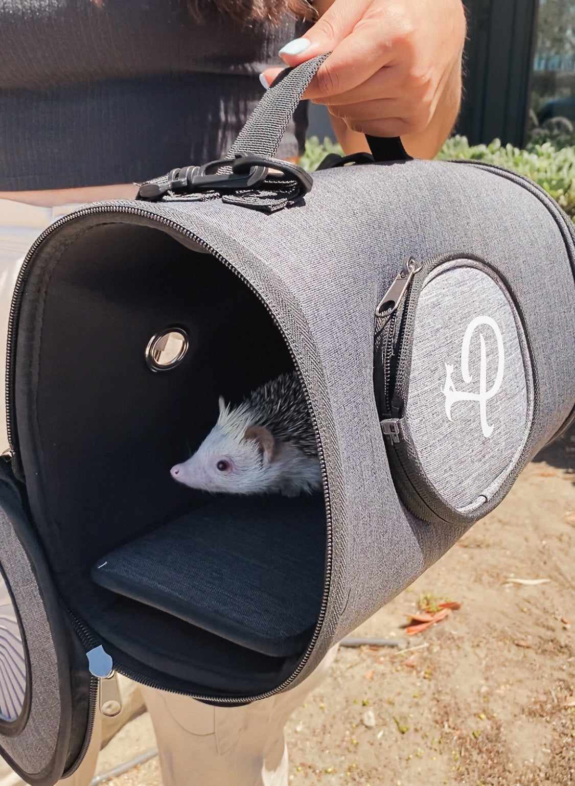 Rover Pet Carrier