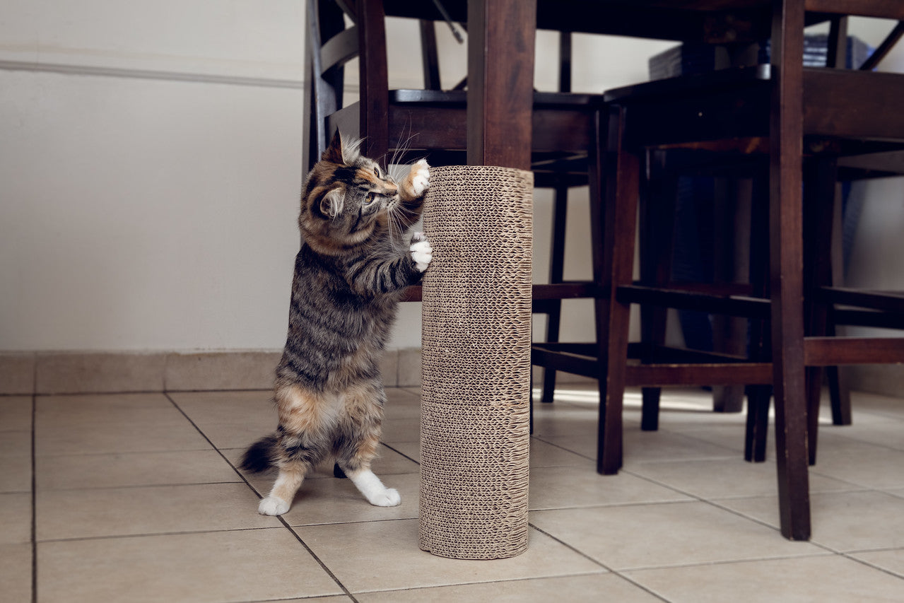 kitty corner cat scratching post on table