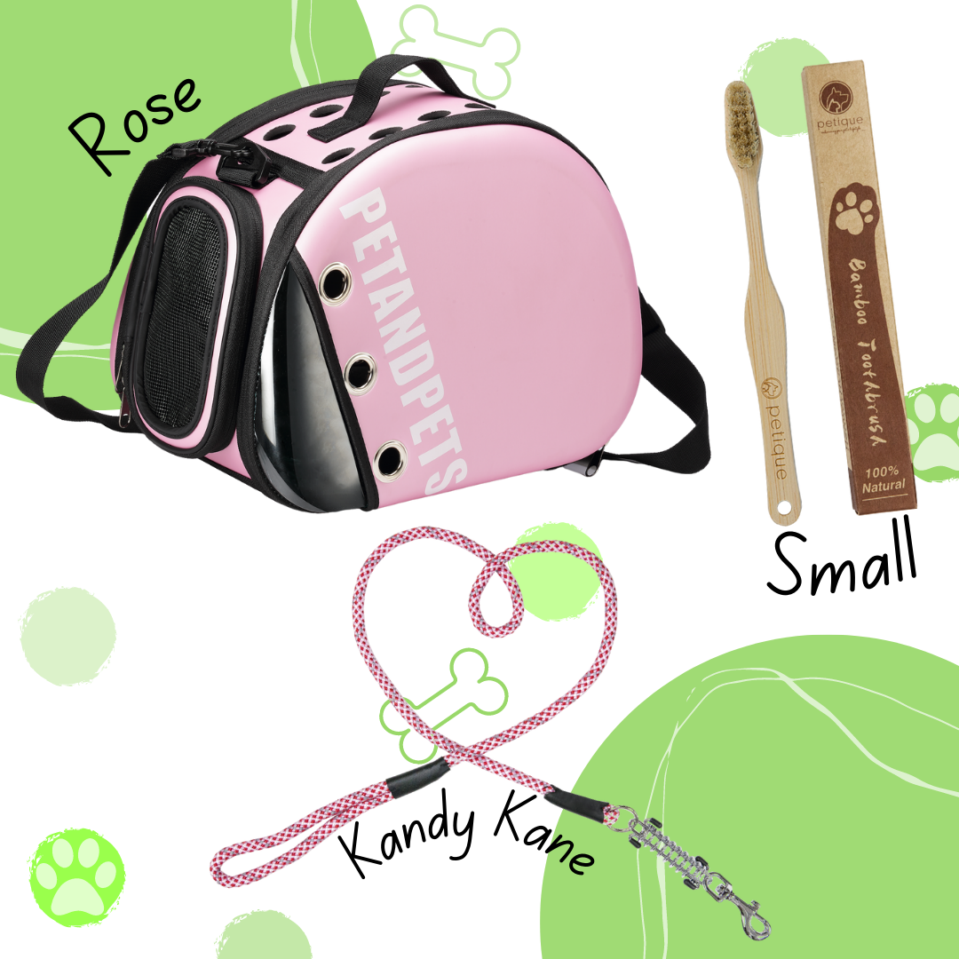 Delectable Bundle - Macaron Pet Carrier and MORE!