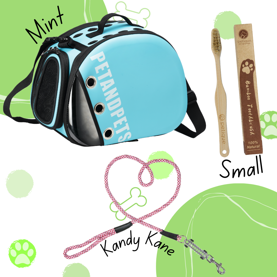 Delectable Bundle - Macaron Pet Carrier and MORE!