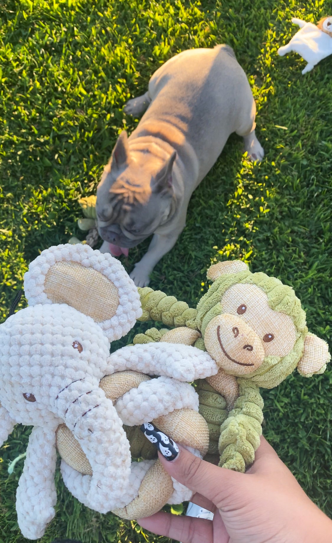 Mini Hemp Twist Monkey and Elephant Dog Toys
