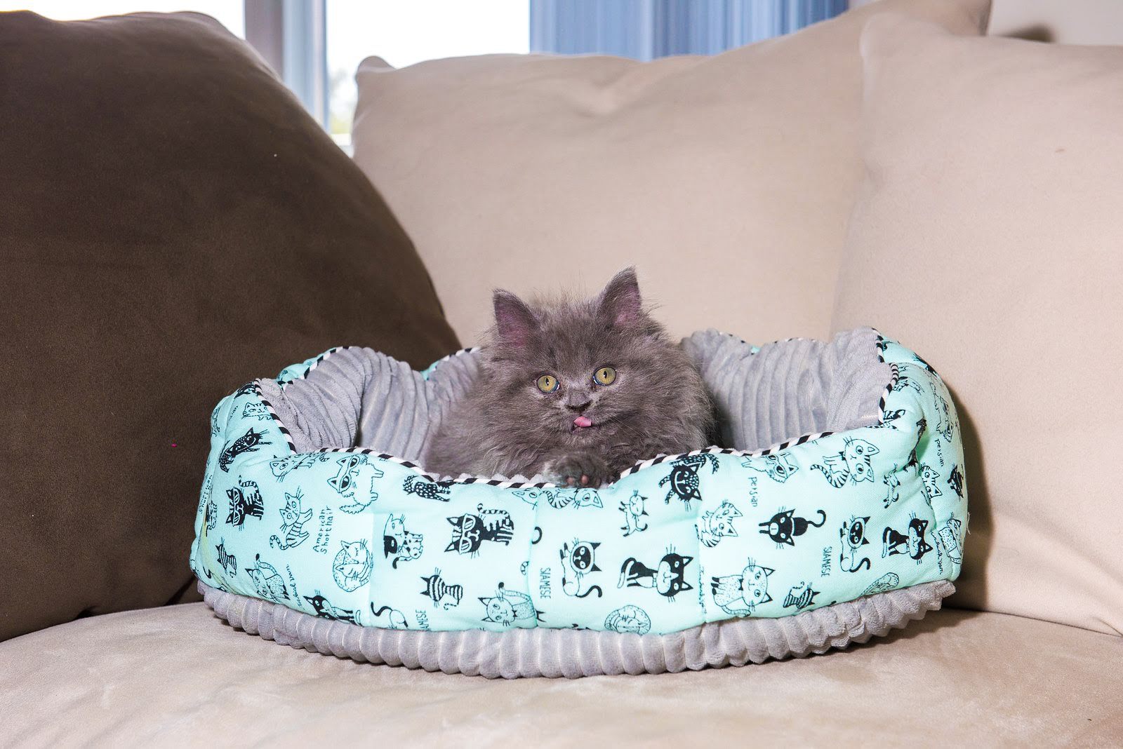 reversible round pet bed 