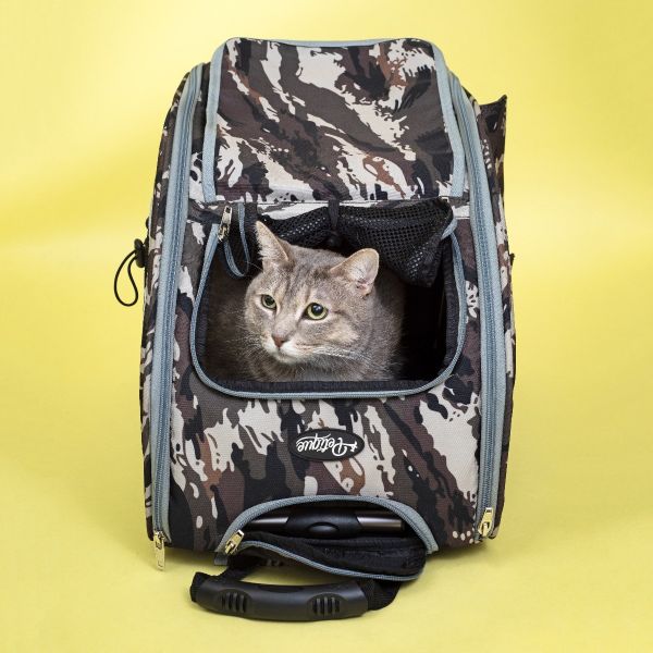 cat pet carrier