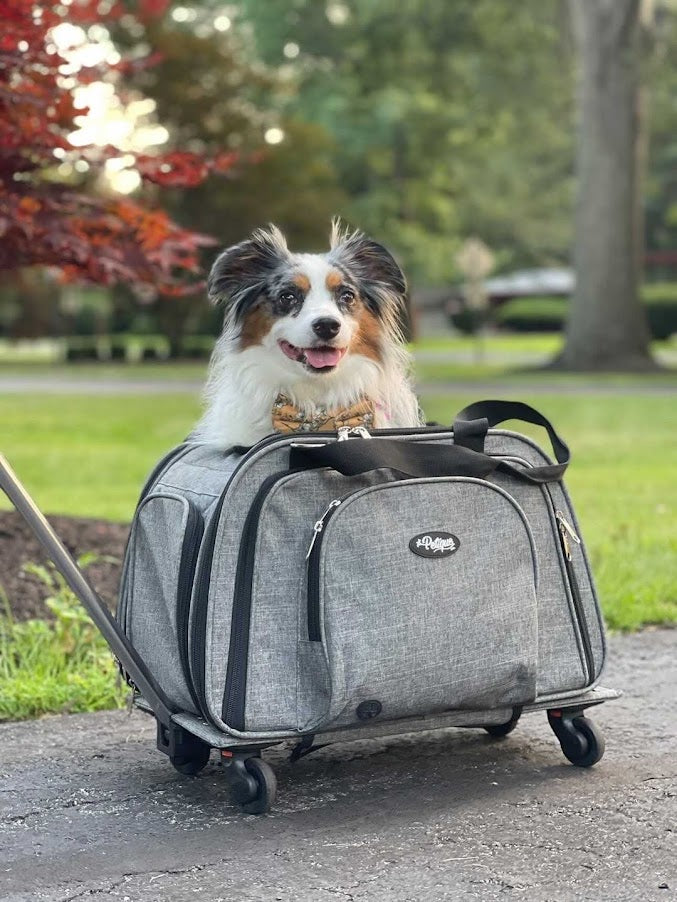 rolling pet carrier