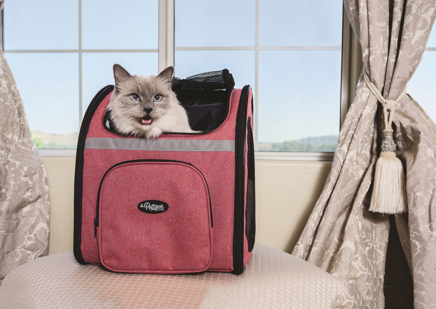 Backpacking Bundle - Backpacker Pet Carrier and MORE!