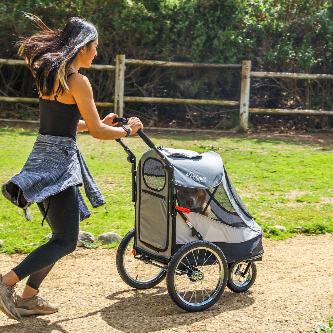 Blaze That Trail Bundle - Trailblazer Pet Jogger and MORE!