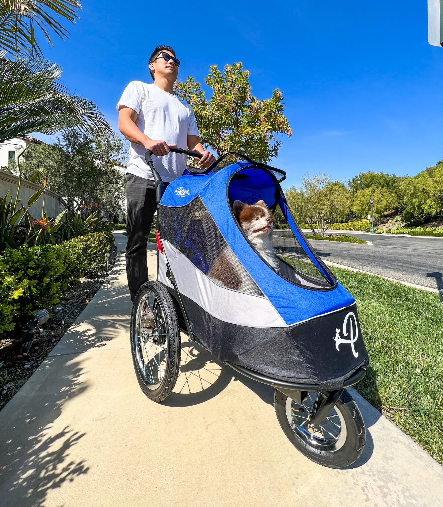 Blaze That Trail Bundle - Trailblazer Pet Jogger and MORE!
